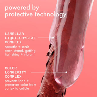 The Protector Color Protect + Strengthen Conditioner