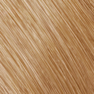 Topchic Zero Ammonia Free Hair Color 8G Light Gold Blonde