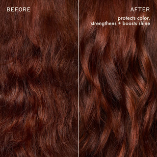 The Protector Color Protect + Strengthen Shampoo
