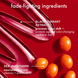 The Protector Color Protect + Strengthen Shampoo