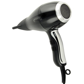 3900 Healthy Ionic Hair Dryer, Black & Silver