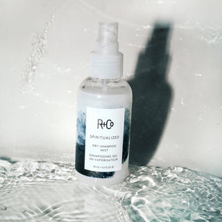 Spiritualized Mist Dry Shampoo