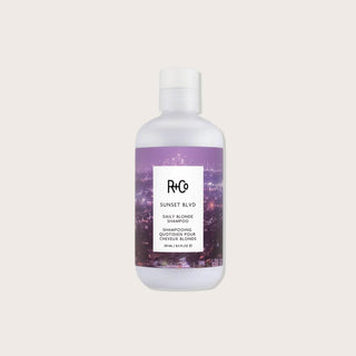 Sunset Blvd Daily Blonde Shampoo