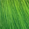 Crazy Hair Direct Color Gel-Green