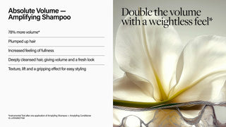 Absolute Volume Shampoo
