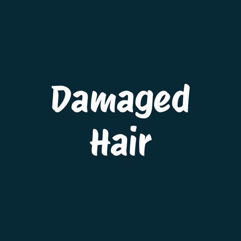 Damaged Hair