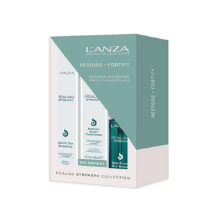 Healing Strength Holiday Gift Set: A Time To Repair