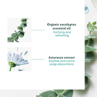 Astera Rituel Apaisant Concentré Fraîcheur & Pureté aux Huiles Essentielles
