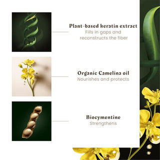 Absolue Kératine Crème de Beauté Réparatrice Cheveux Abîmés et Fragilisés