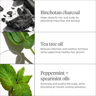 Scalp Revival Charcoal + Tea Tree Scalp Treatment