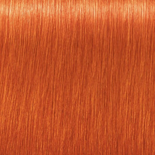 Igora Vibrance Tone on Tone Coloration 0.77 Copper Concentrate