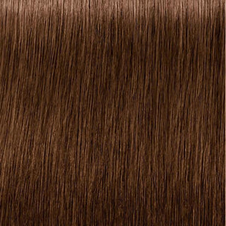 Igora 5-60 Zero Ammonia Permanent Hair Color