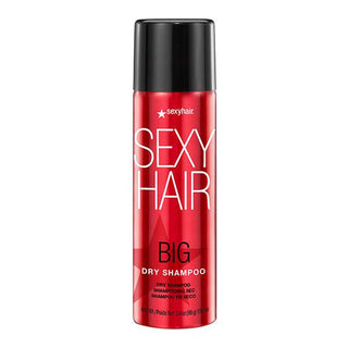 Big Dry Shampoo