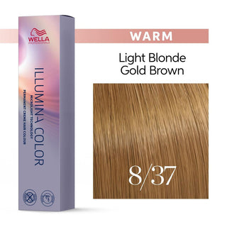 Illumina Hair Color 8/37 Light Gold Brown Blonde